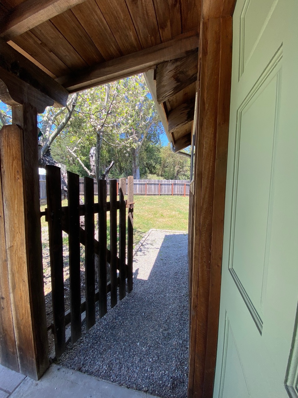 Peering into backyard